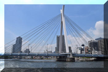 Chuo Ohashi Bridge, Tokyo, Japan