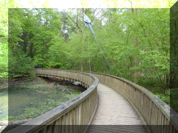 Salcey Forest footbridge, Northamptonshire, UK