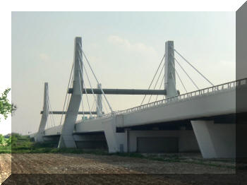 Colzé de Montegalda (VI) ponte strallata