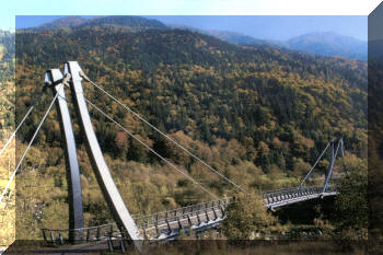 Footbridge in Spiazzo (TN), Italy