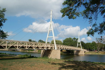 image: cable-stayed bridge