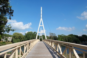 image: cable-stayed bridge