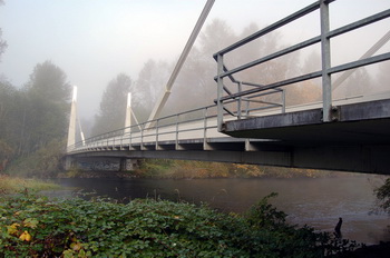 image: cable-stayed bridge